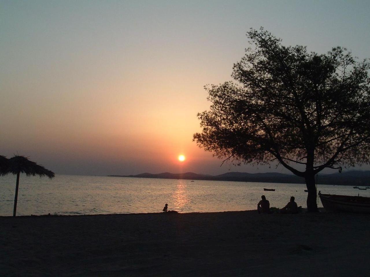 Finikas Garden Beach Resort Nikiti المظهر الخارجي الصورة
