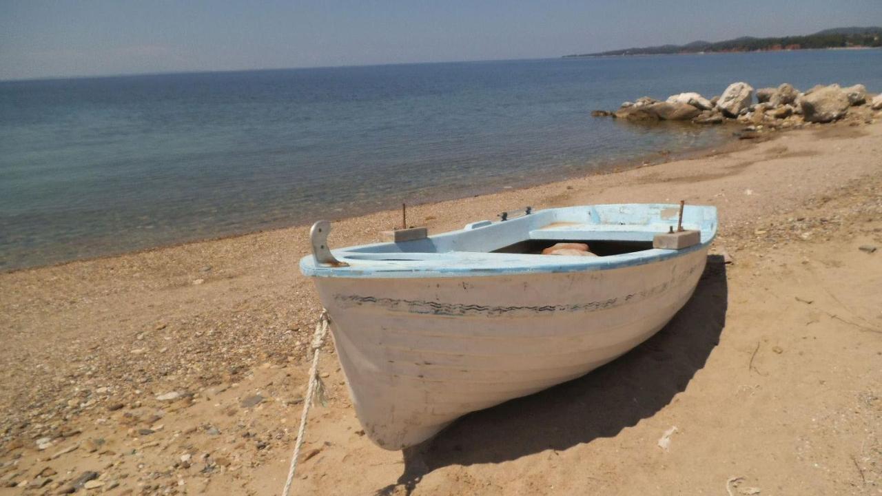 Finikas Garden Beach Resort Nikiti المظهر الخارجي الصورة